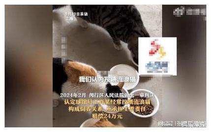 被猫撞了意味着什么被流浪猫绊倒赔4.8万合理吗那些曾经让你受骗的经历为你带来了什么 型号(167038)