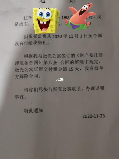 蛋壳公寓怎么处理蛋壳公寓的处理结果蛋壳公寓会破产或爆仓吗 运动(142392)