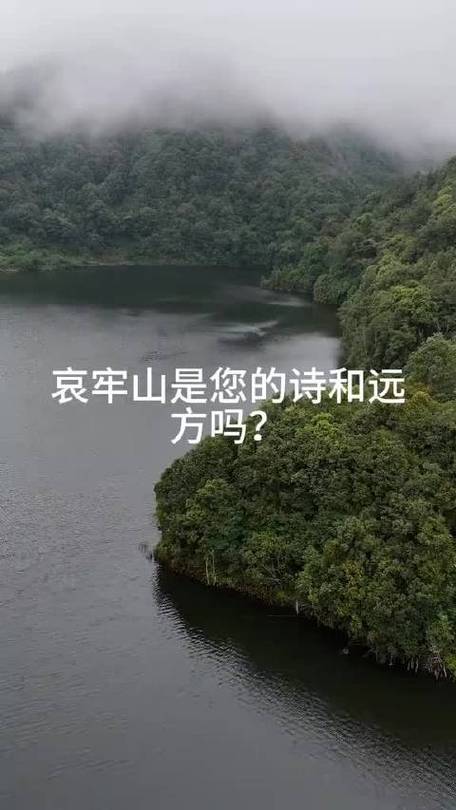 最适合疫后的徒步旅行目的地是哪里哀牢山徒步攻略露营哀牢山博主道歉